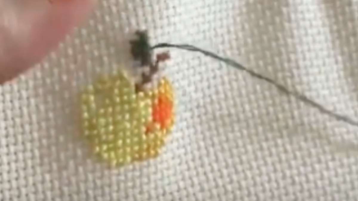 Apple in Cross Stitch