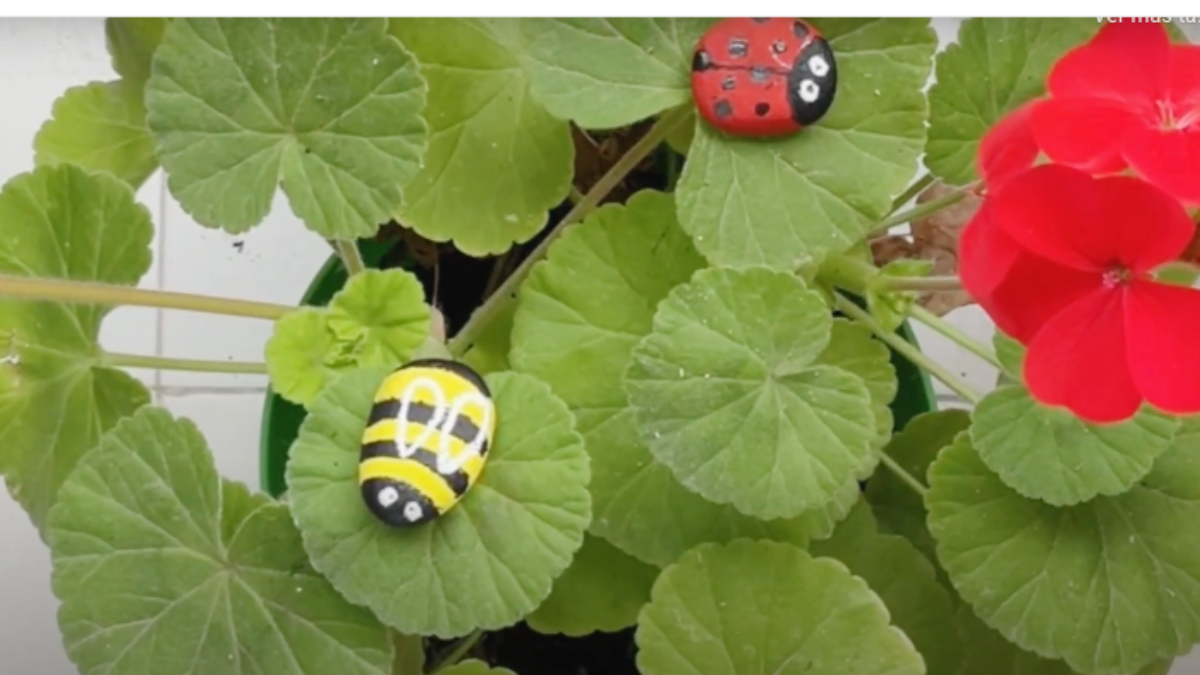 Stones Painted like Ladybugs